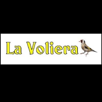 alfio-valdarnini