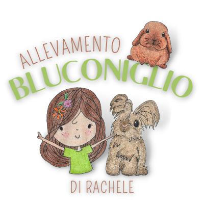 allevamento-bluconiglio-