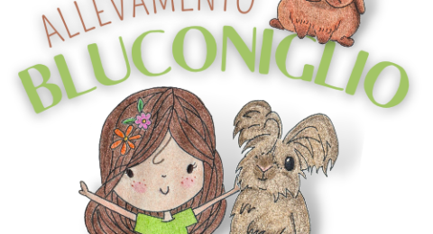 allevamento-bluconiglio-