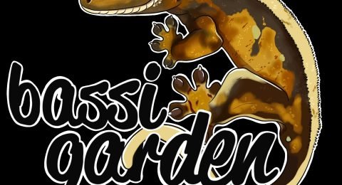 bassi-garden