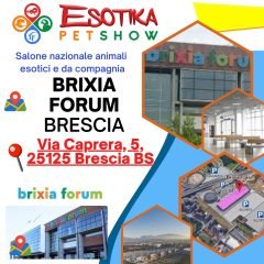 brescia-location