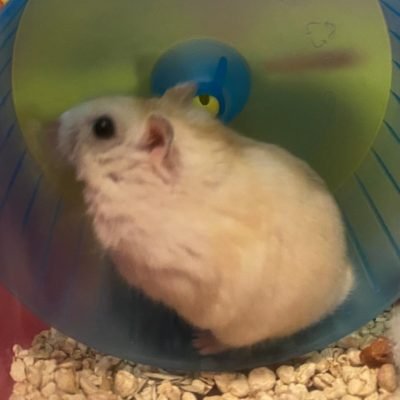 burato-stefano-commercio