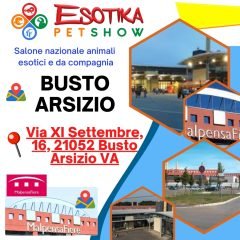 busto-arsizio-location