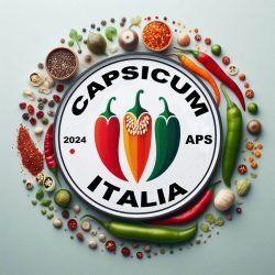 capsicum-italia.jpg