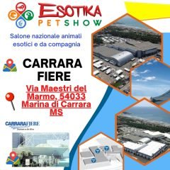 carrara-location