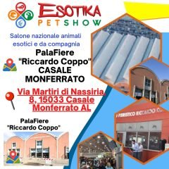 casale-monferrato-location