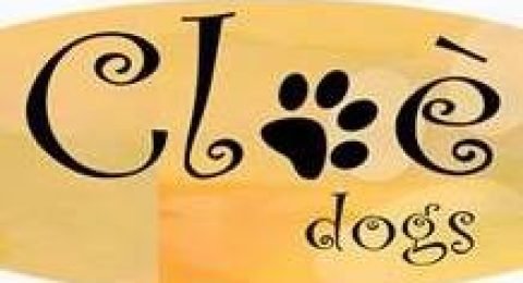 elena-dioda