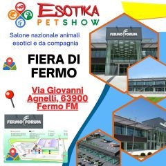 fermo-location