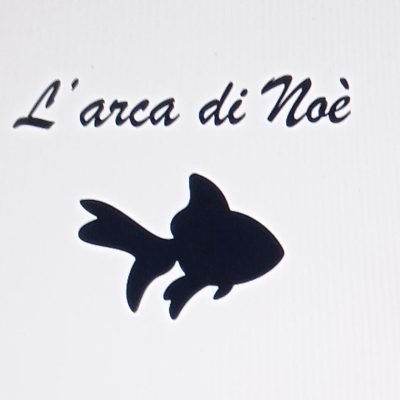 filippo-catania