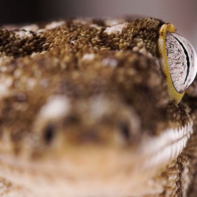 xr:d:DAFCWt1rZIs:348,j:8941163850597513812,t:23060714