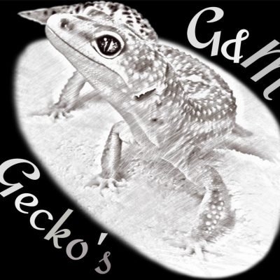 giulia-cerignale