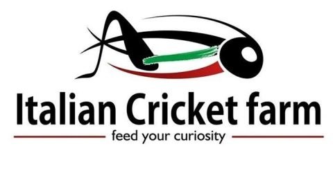 italian cricket farm