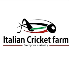 italian-cricket-farmitalian-cricket-farm