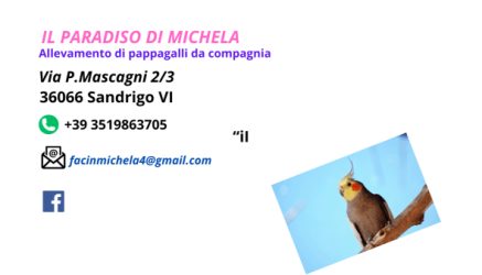 michela-facin