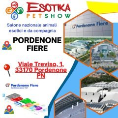 pordenone-location