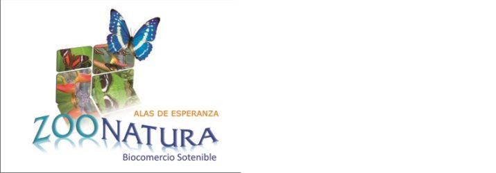 qudri-con-farfalle-e-insetti