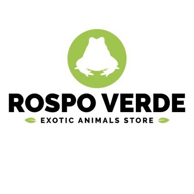 rospo-verde