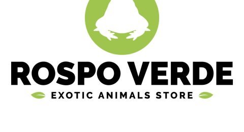 rospo-verde