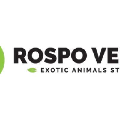 rospo_verde