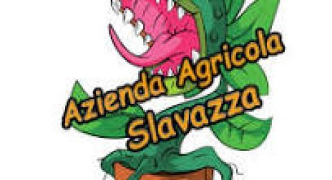 slavazza-mauro