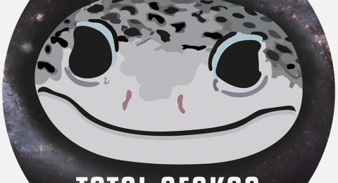 total-gekos