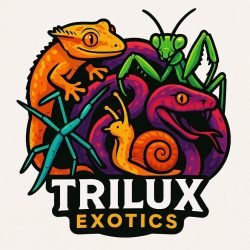 trilux.jpg