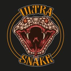 ultra_snake_stampa_tracciati11.jpg