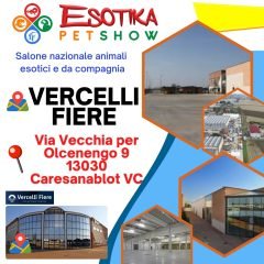 vercelli-location