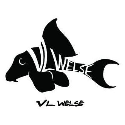 vincenzo-luisi