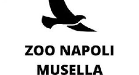 zoo-napoli